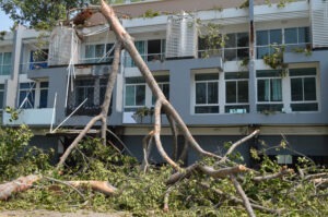 Storm Damage Cleanup