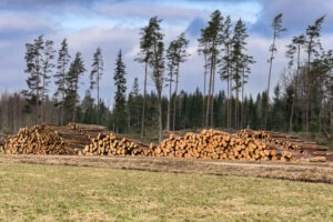 Land Parcels for Selective Harvest