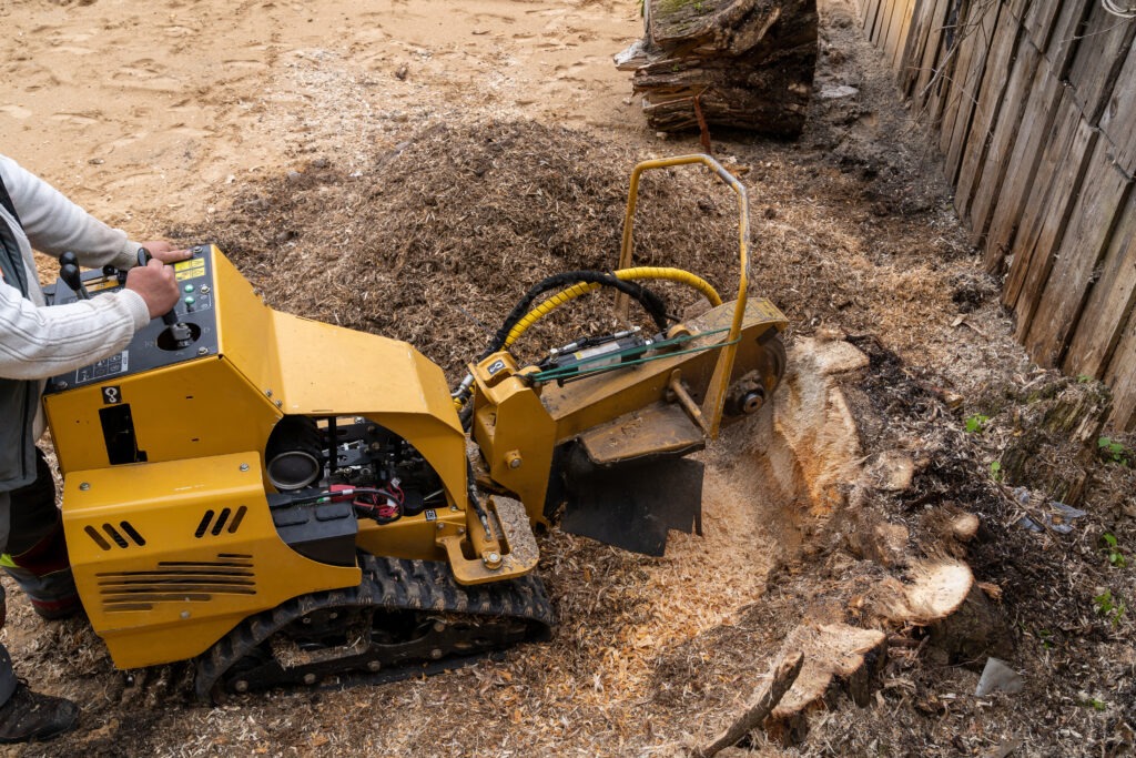The Environmental Benefits of Lot Clearing Done Right