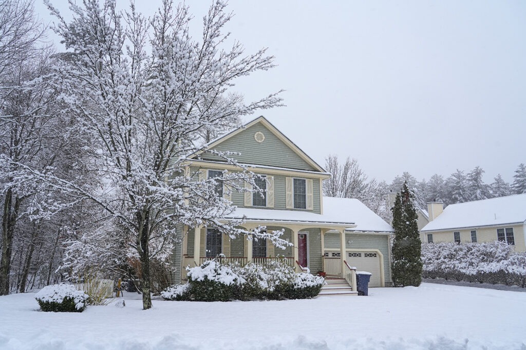 How to Prepare Your Trees for Maine's Harsh Winters