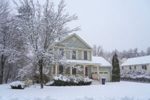 How to Prepare Your Trees for Maine's Harsh Winters